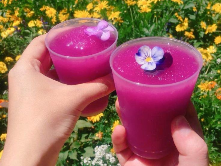 Butterfly Pea 30 g